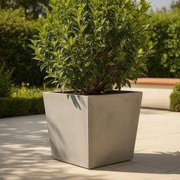 Maceta grande de fibrocemento para exterior con planta ornamental, ideal para patios y terrazas